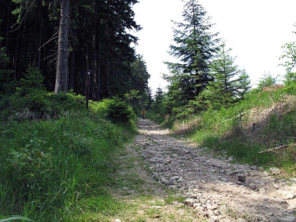 Harz1 EISENSCHWEINKADER | 3 Tage, Brocken, Stürze Harz11 1024x768 3 Tage, Brocken, Stürze