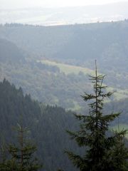 Rennsteig_35