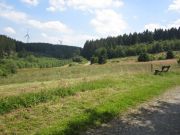 Eifel_Nationalpark 087