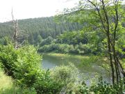 Eifel_Nationalpark 088