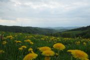 2013_05_10_-_17-01-24 Odenwald