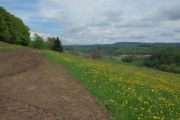 2013_05_09_-_11-46-14 Odenwald