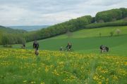 2013_05_09_-_12-44-30 Odenwald