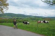 2013_05_09_-_13-11-46 Odenwald