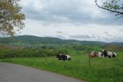 2013_05_09_-_13-11-54 Odenwald