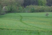 2013_05_09_-_19-34-02 Odenwald