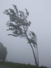 DSCF2483