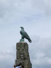 DSCF2761