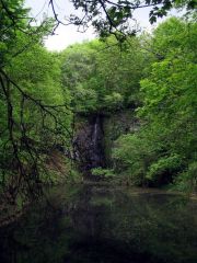 Rh_nland_2006_02
