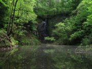 Rh_nland_2006_05