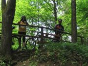 Rh_nland_2006_06