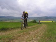 Rh_nland_2006_08