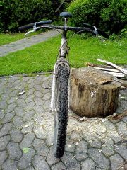 rhoen2006_40