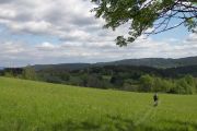 Harzsturm_049