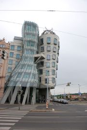 DSC_1319
