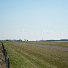 2010-04-02_d300_ap_2128_DSC_3895