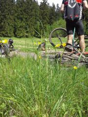 Harz-2014-0020