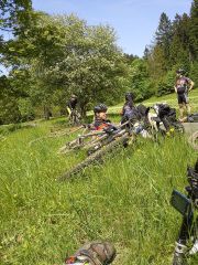 Harz-2014-0029