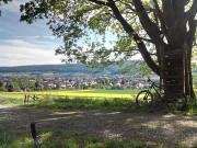 IMG_20150514_170848_1