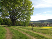 IMG_20150514_170921