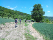 IMG_20150515_110059