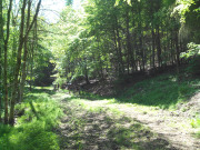IMG_20150515_121522
