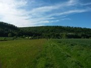 img_0023