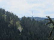 IMG_0159