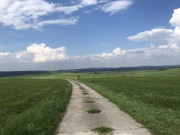 UNADJUSTEDNONRAW_thumb_70de