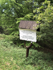 UNADJUSTEDNONRAW_thumb_70e5