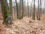 nbg080113_01