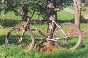 trek8300