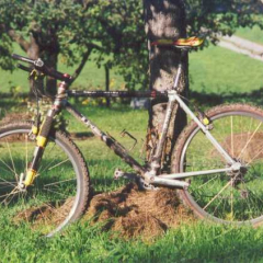 trek8300