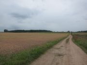 14899362800_a5cc3211c4_z