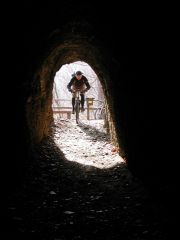 2006_3929