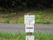 Taunusultra2010 019