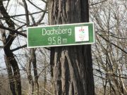DSC02463