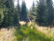 DSCN0356