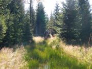 DSCN0357