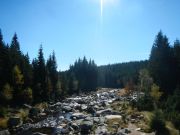 DSCN0369