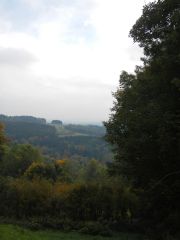 DSCN0447