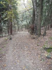 DSCN0448