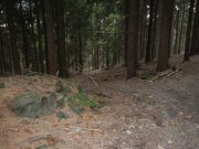 DSCN0449