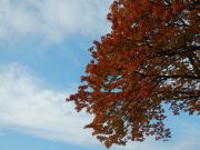DSCN0455