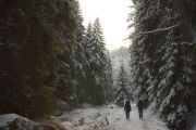 2010_11_27_-_15_03_42_Elbsandsteingebirge