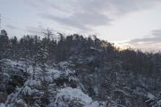 2010_11_28_-_08_26_42_Elbsandsteingebirge