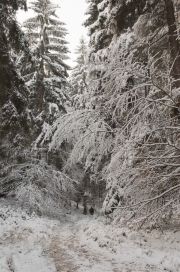 2010_11_28_-_10_35_16_Elbsandsteingebirge