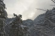 2010_11_28_-_10_55_28_Elbsandsteingebirge