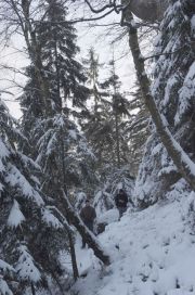 2010_11_28_-_11_22_40_Elbsandsteingebirge
