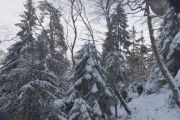 2010_11_28_-_11_22_52_Elbsandsteingebirge